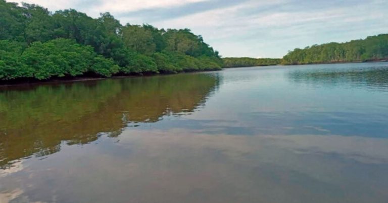 Governo Federal autoriza desapropriação de área quilombola de 606 hectares em Taperoá governo-federal-autoriza-desapropriacao-de-area-quilombola-de-606-hectares-em-taperoa