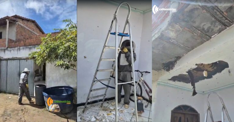 Idosa fica em estado grave após ataque de abelhas em Riachão do Jacuípe idosa-fica-em-estado-grave-apos-ataque-de-abelhas-em-riachao-do-jacuipe