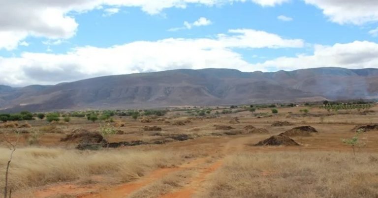 MP recomenda suspensão de crédito a produtores sem licença ambiental no recôncavo baiano mp-recomenda-suspensao-de-credito-a-produtores-sem-licenca-ambiental-no-reconcavo-baiano