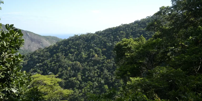 Plano mobiliza R$ 500 bi para financiamento sustentável no Brasil plano-mobiliza-r$-500-bi-para-financiamento-sustentavel-no-brasil