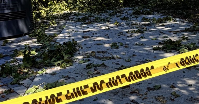 Às vésperas de Brasil x Noruega, forte tempestade em Nova Jersey causa queda de árvores as-vesperas-de-brasil-x-noruega,-forte-tempestade-em-nova-jersey-causa-queda-de-arvores