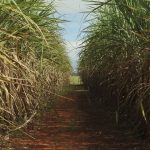 conselho-eleva-limite-de-remuneracao-do-eco-invest-brasil