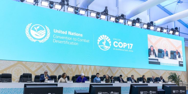 afetada-por-disputas-geopoliticas,-cop17-termina-com-poucos-avancos