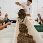 consulta-sobre-bens-sustentaveis-no-acordo-mercosul–ue-acaba-na-quarta