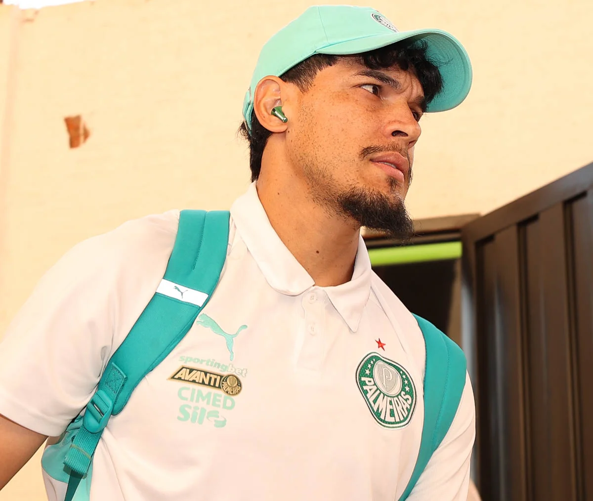 siga-o-tempo-real-de-mirassol-x-palmeiras-pelo-brasileirao