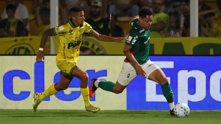 confira-as-fotos-de-mirassol-x-palmeiras-pelo-brasileirao