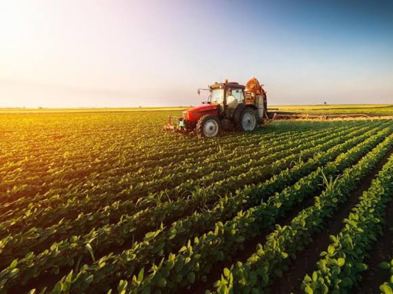 tarifa-dos-eua-pode-comprometer-mais-de-70%-das-exportacoes-do-agronegocio