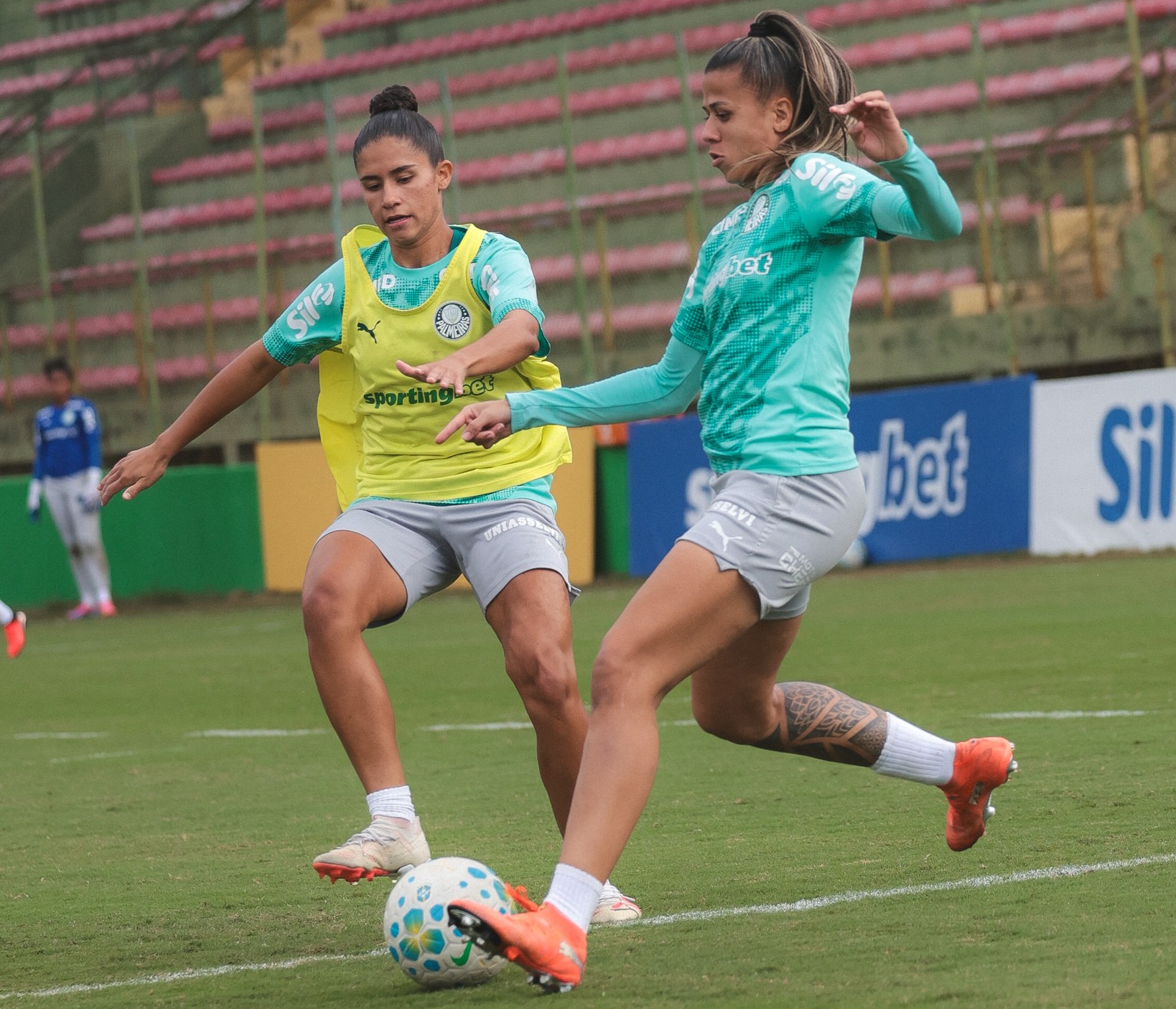 taubate-x-palmeiras-pelo-paulistao-f:-saiba-informacoes-e-onde-assistir-ao-jogo