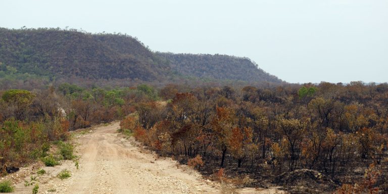 mapbiomas:-menor-vegetacao-nativa-expoe-mais-o-pais-ao-el-nino