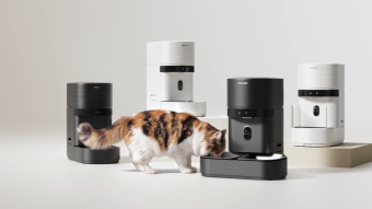 alimentador-smart-fica-fora-do-ar-e-deixa-pets-sem-comida