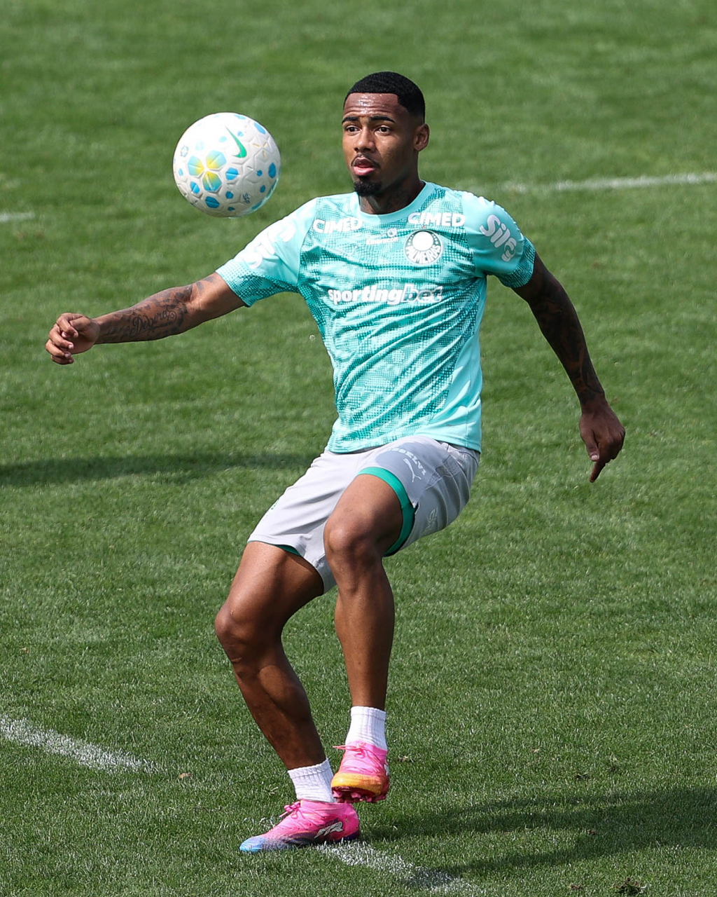 allan-aponta-necessidade-de-ajustes-e-confia-em-evolucao-do-palmeiras-em-meio-a-oscilacao
