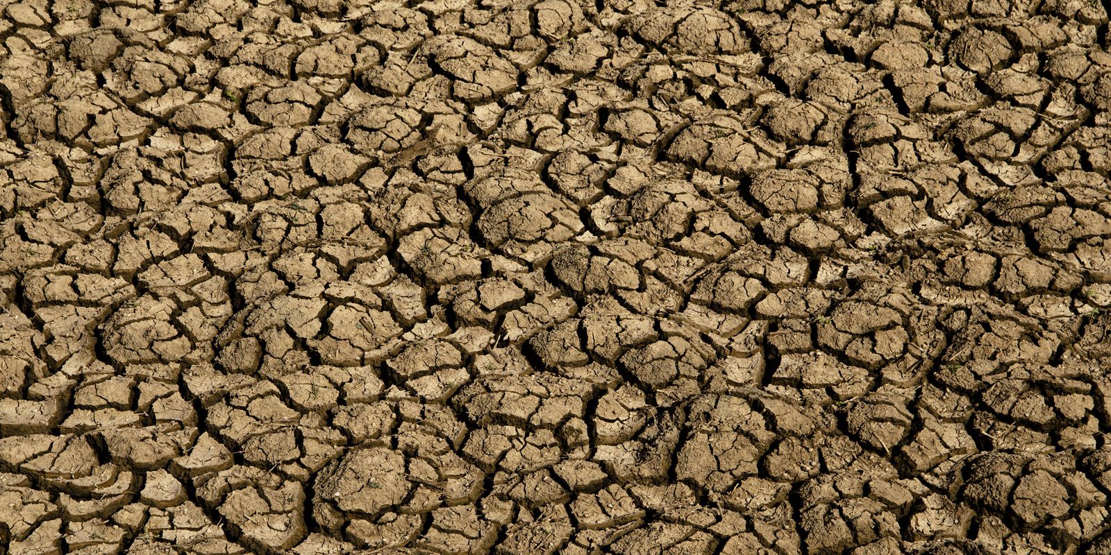 risco-de-desertificacao-no-brasil-ameaca-seguranca-hidrica-e-alimentar
