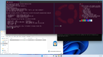 ubuntu-cresce-mais-no-windows-do-que-no-proprio-linux