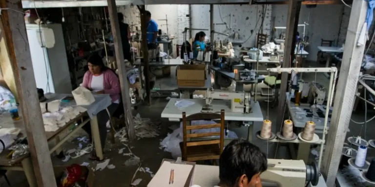 em-13-anos,-mg-tirou-5,6-mil-pessoas-de-trabalho-analogo-a-escravidao