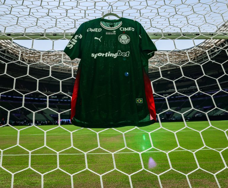 palmeiras-tera-quatro-mudancas-e-allan-titular-contra-o-vasco;-veja-escalacoes