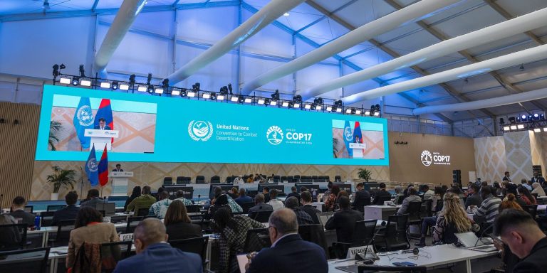 cop17-entra-em-semana-decisiva-com-missao-de-destravar-financiamento