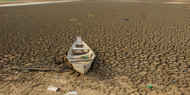 brasil-promete-restaurar-163-mil-km²-de-terras-degradadas-ate-2030 