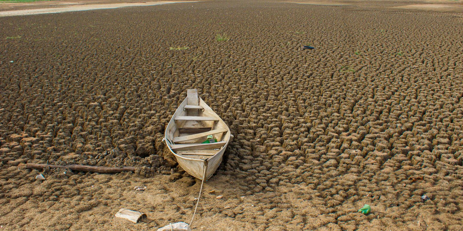 brasil-promete-restaurar-163-mil-km²-de-terras-degradadas-ate-2030 