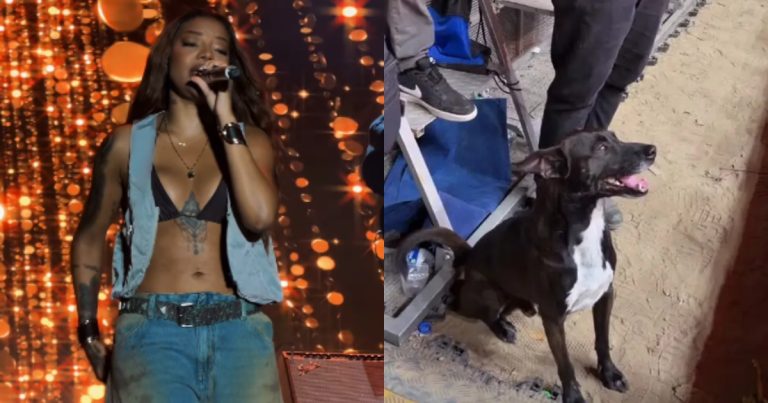 plateia-especial:-cachorro-viraliza-ao-assistir-show-de-ludmilla-na-bahia