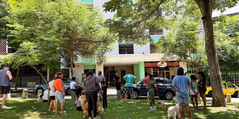 panama-registra-terremoto-de-magnitude-7,6-na-escala-richter
